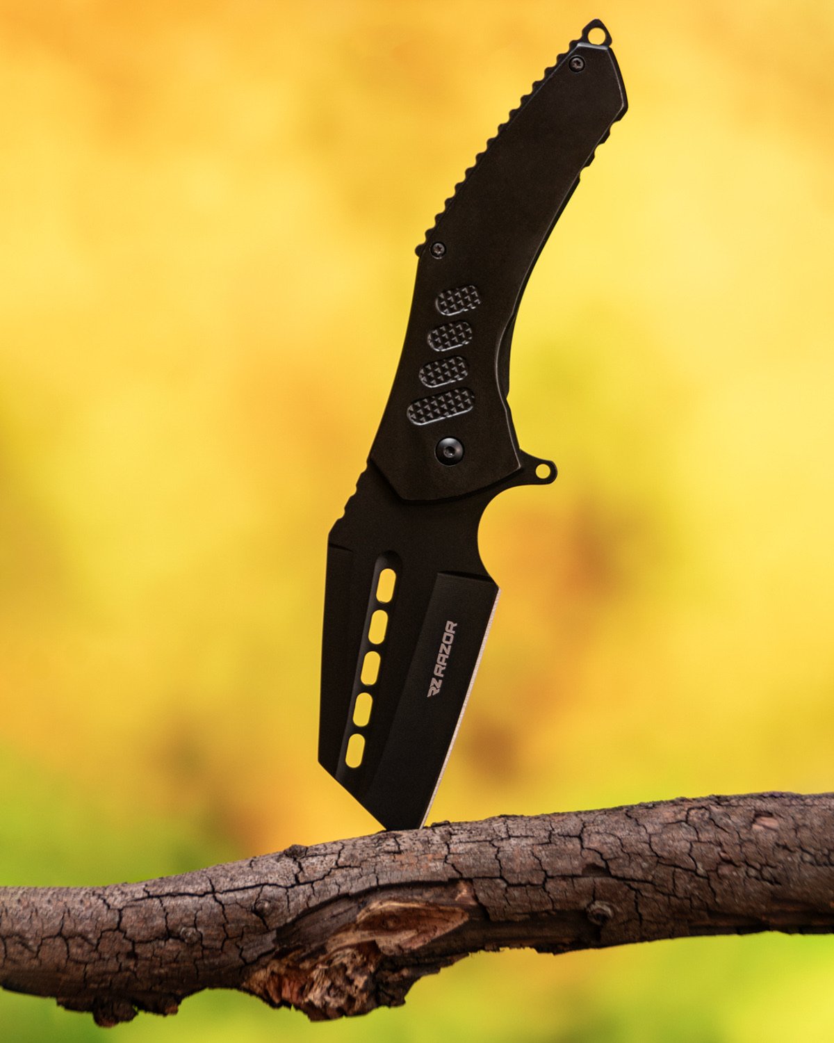 Cuchillo Razor sobre rama — fotografía profesional